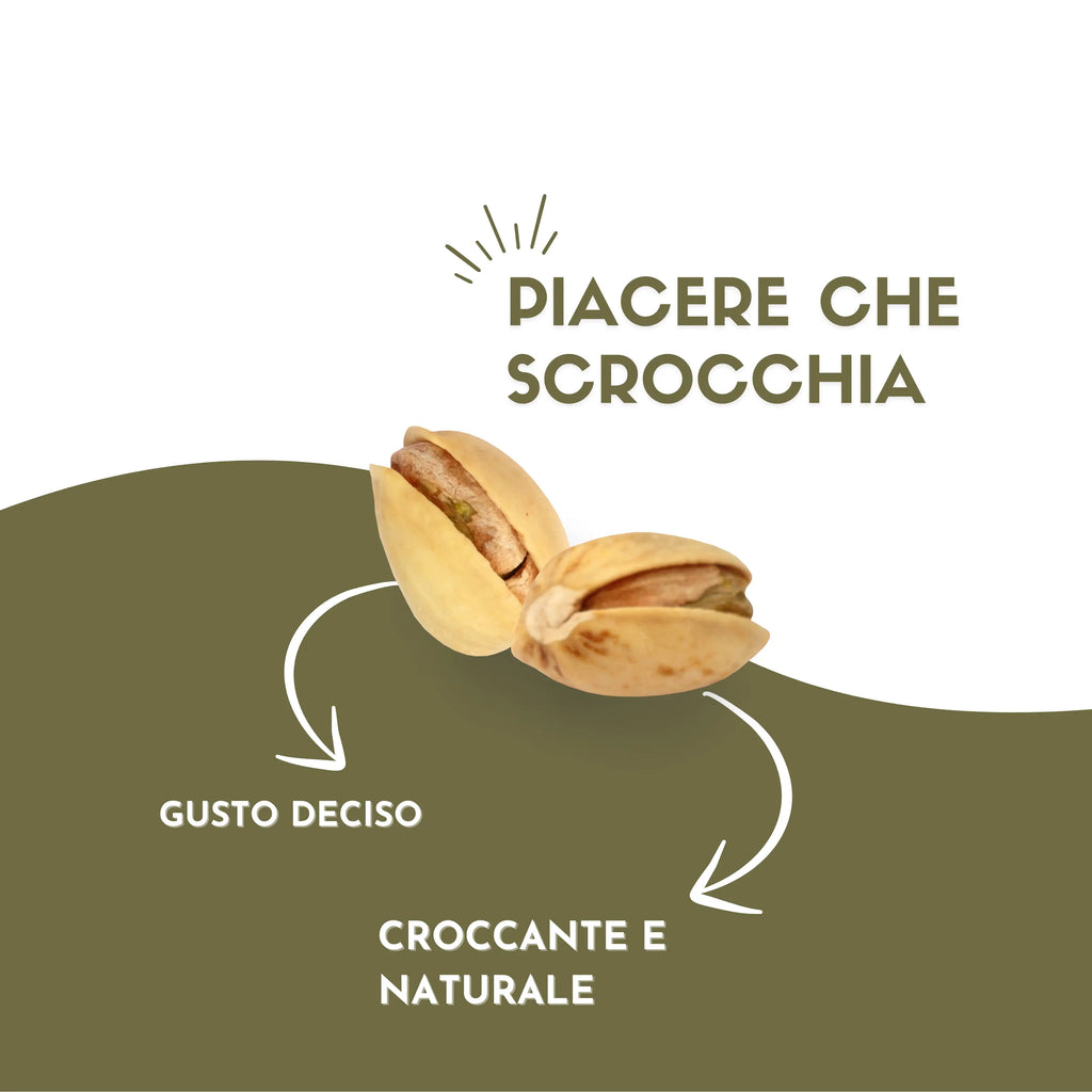 Pistacchio in guscio tostato etnatost