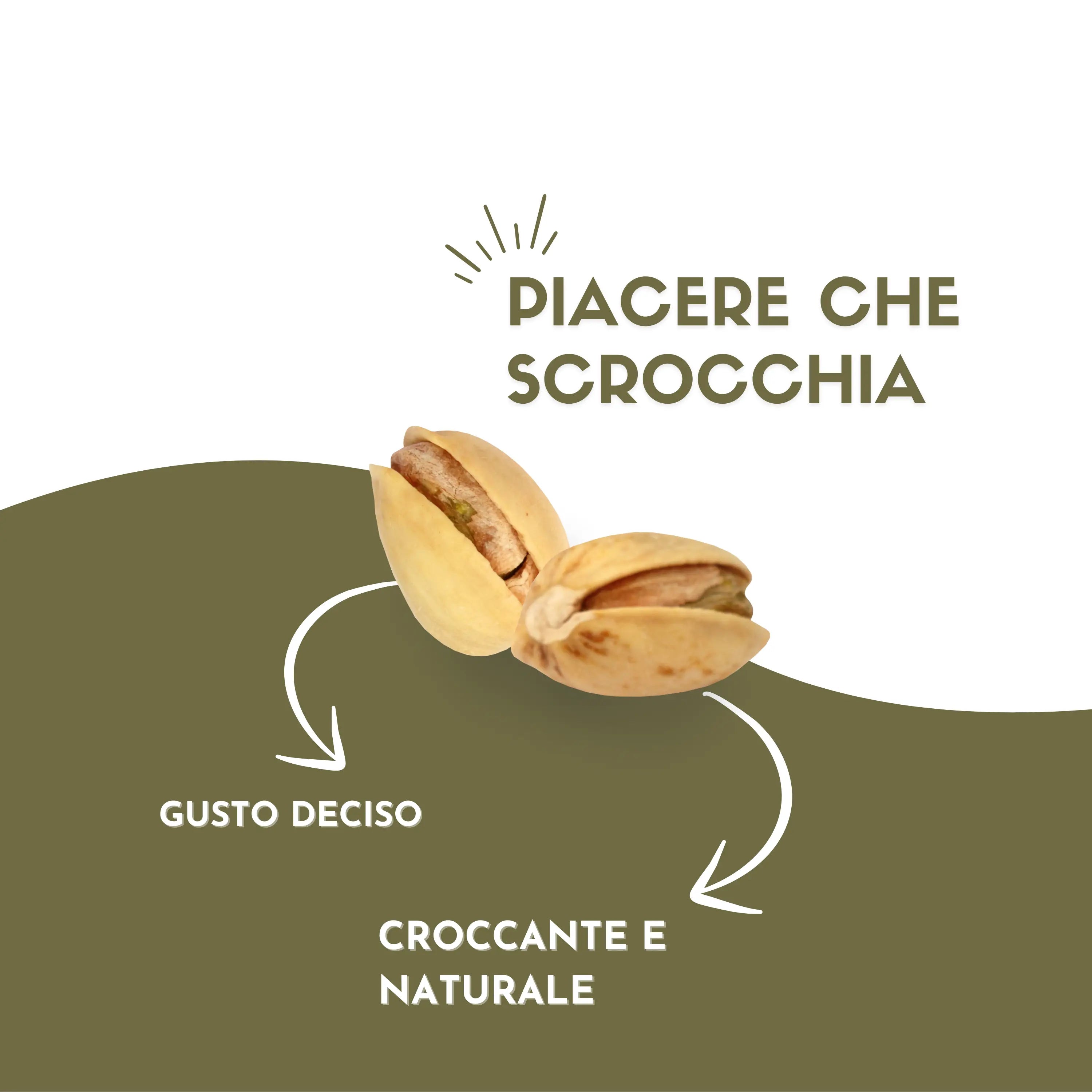Pistacchio in guscio tostato etnatost