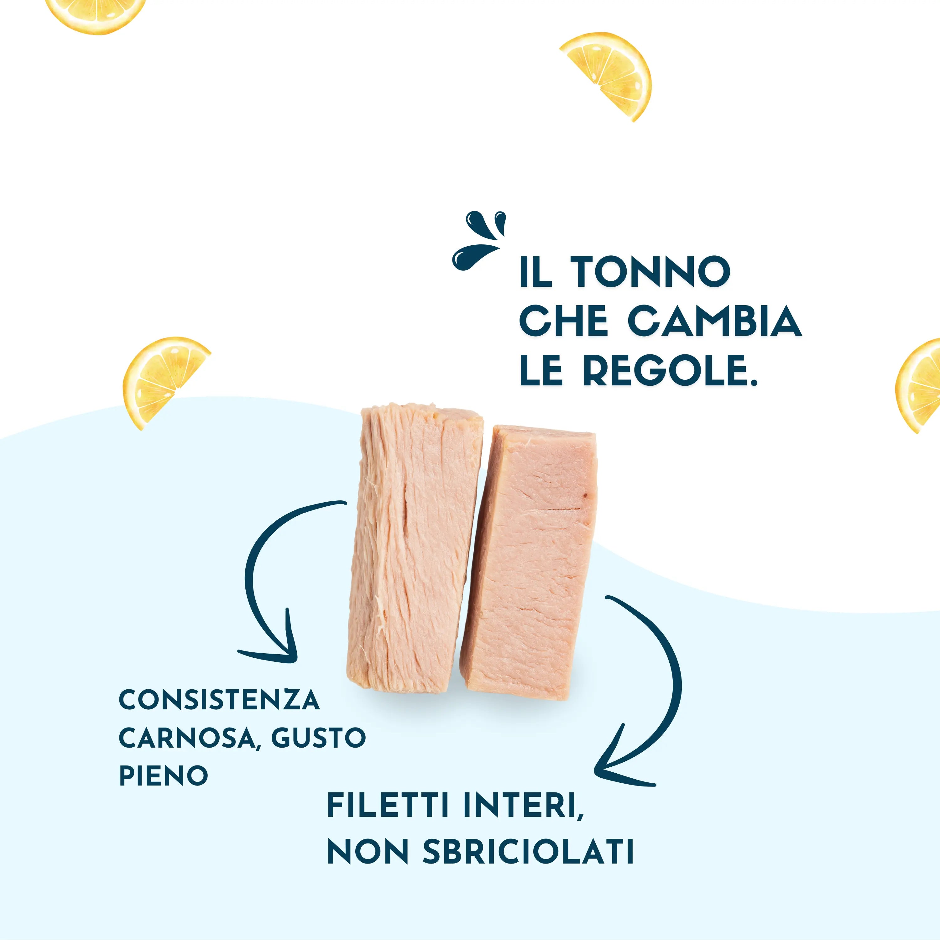 Tranci di Tonno Sott'Olio etnatost