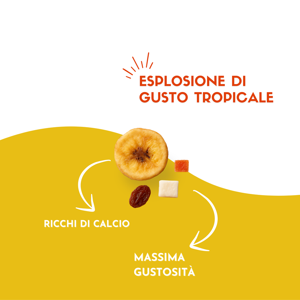 Misto Esotico Etnatost