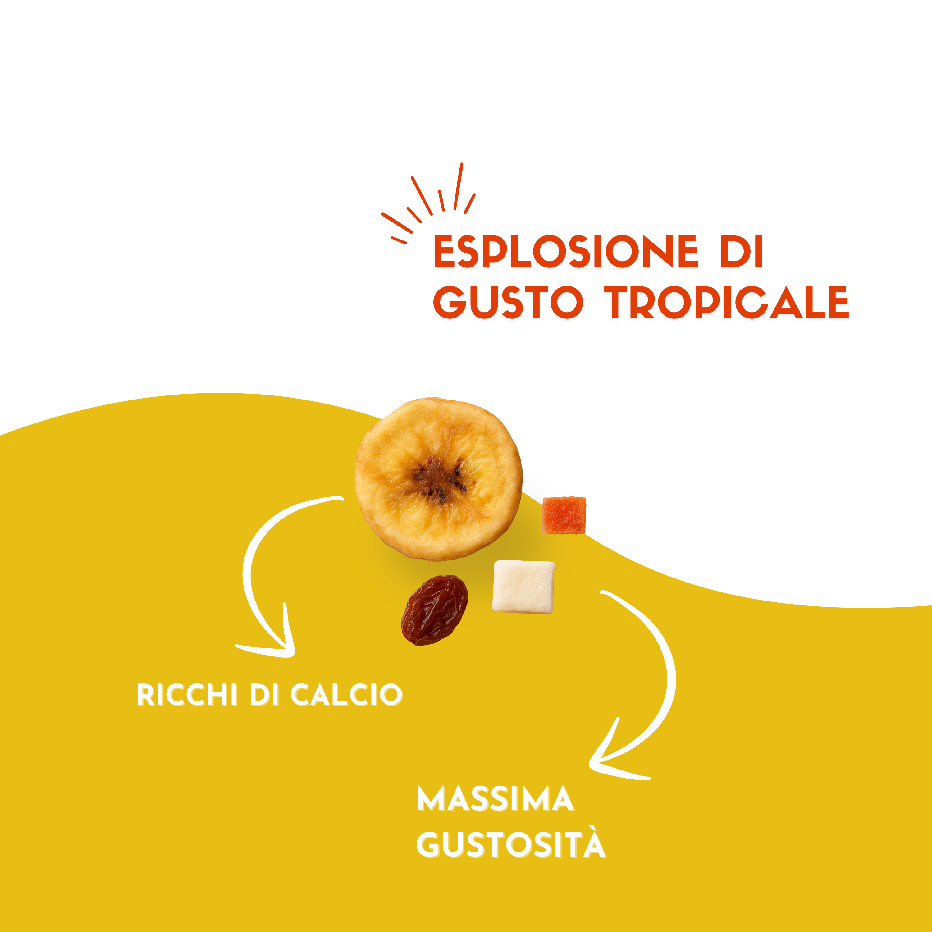Misto Esotico Etnatost
