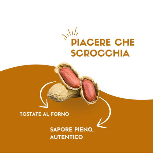 Arachidi in guscio Tostate etnatost