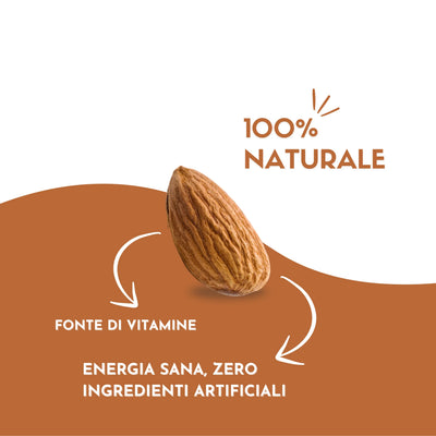 Mandorle Sgusciate Crude 100 gr