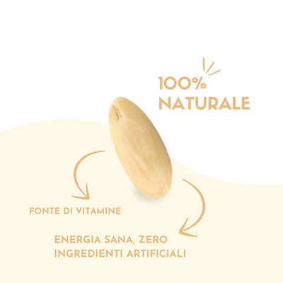 Mandorle Sgusciate Pelate Sicilia 100 gr