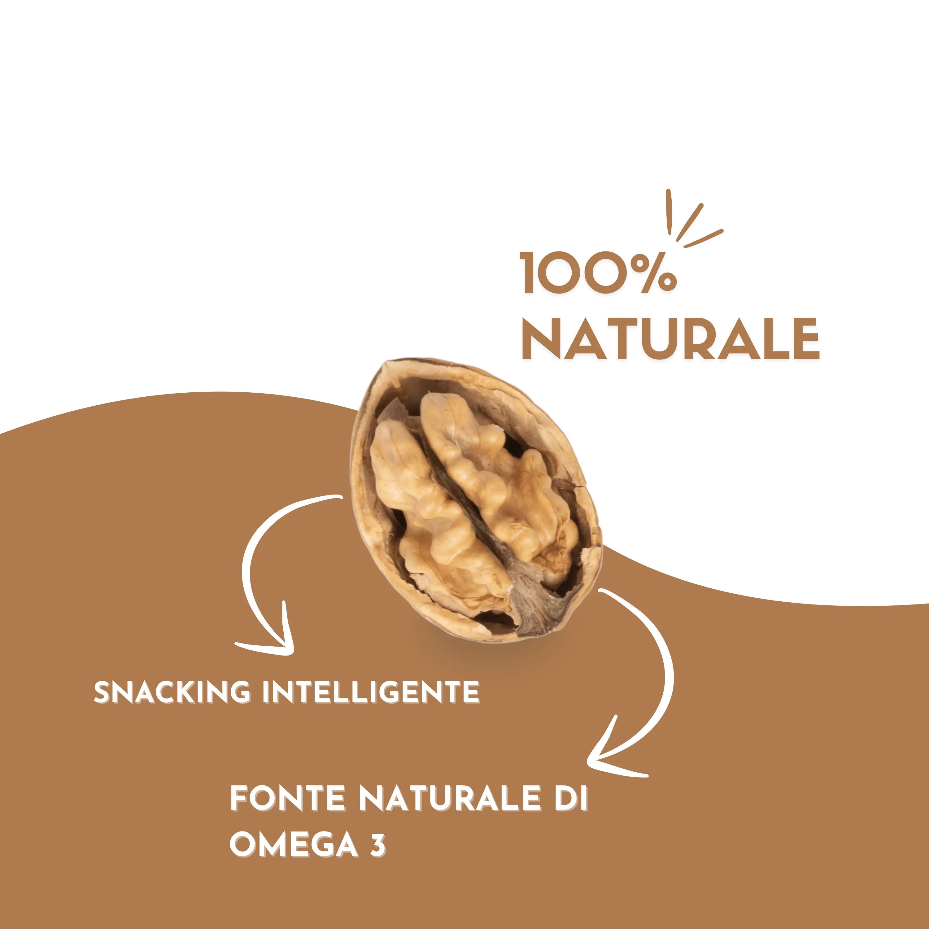 Noci in Guscio etnatost