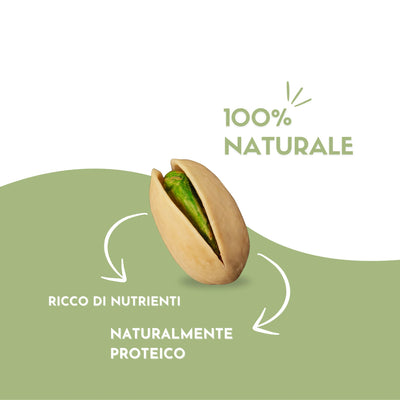 Pistacchio in guscio Crudo 100 gr