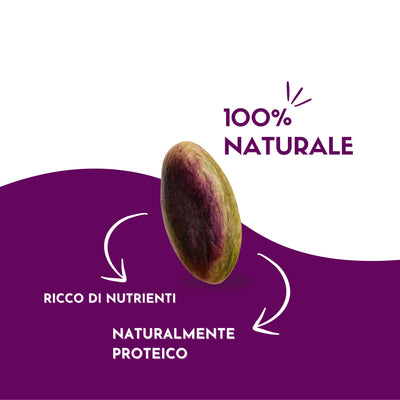 Pistacchio sgusciato Crudo 100 gr